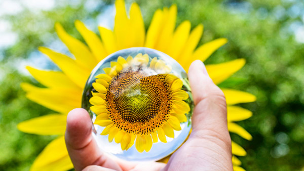 歡迎訪問我們的官方網站